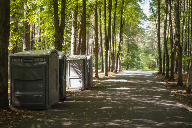 Reliable Lewiston, CA porta potty rental Solutions